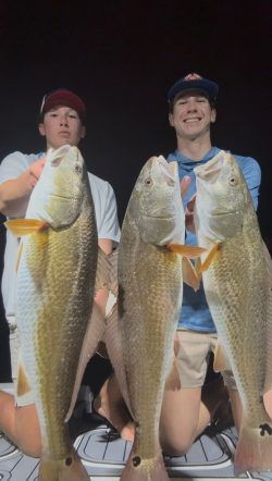 Two people holding up three large fish, standing side by side against a dark background.