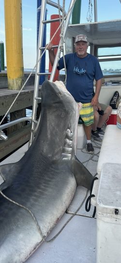 Tiger Shark Fishing & Shark Fishing Orange Beach AL